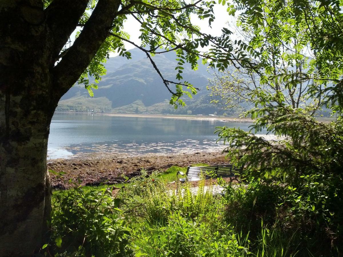 Toads Croak Inverness Exterior foto